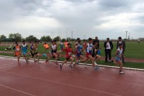 TAF Turkcell Atletizm Festivali