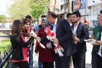 TAHSİN BABAŞ - Tahsin Babaş'tan Kadınlara, Karanfilli Kutlama