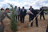 ORHAN ALIMOĞLU - Başbakan Ahmet Davutoğlu Adına Hatıra Ormanı Oluşturuldu