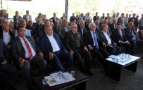 OSMAN KAHVECI - 'Çam Balı Üretiminde Dünya Birincisiyiz”