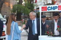 NAKKAŞ - Fazıl Kasap Annelere Karanfil Dağıttı