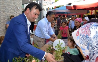 Germencik'te Çiçek Dağıtımı Dünyanın En Özel Çiçeklerine Yapıldı