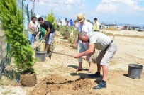 Mavi Bayrak İçin 160 Fidan Toprakla Buluşturuldu