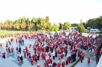 MEHMET ALI ÇALKAYA - Öğrenciler Çanakkale'de Şehitlikleri Gezdi