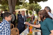 ŞEHİT ANNELERİ - Vali Çakacak, Gazi Ve Şehit Anneleriyle Piknikte Buluştu