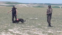 Yozgat Jandarmanın İz Takip Köpek Timi Babasını Öldüren Zanlıyı Yakaladı Haberi