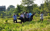 15 Aydır Kayıptı ! Cesedi Tarlada Gömülü Bulundu