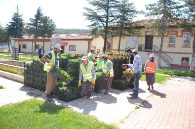 50 Bin Adet Çiçekle Bilecik Daha Da Güzelleşecek