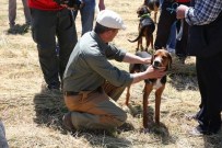 TAVUKLU PİLAV - Av Tutkunları Adapazarı'nda Buluştu