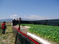 Aydın'da Eküy Çalışmaları Devam Ediyor