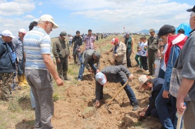 Beyşehir'de Fidan Dikme Etkinliği