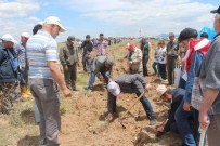 HÜSEYIN ERDOĞAN - Beyşehir'de Fidan Dikme Etkinliği