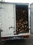 AĞAÇ KESİMİ - Diyarbakır'da 1 kamyon dolusu kaçak kesilmiş ağaç ele geçirildi