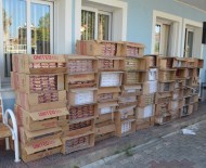 İzmir'de Kaçak Sigara Operasyonu