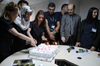 LOKMAN HEKIM - Lokman Hekim Hastanesi'nde Hemşireler Günü Kutlaması