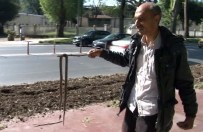 Öldürdüğü Yılanla Beşiktaş'ta Tur Attı