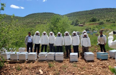 Savur'da 'Arıcılık Projesi'