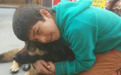 Suriye'li Küçük Çocuğun Hayvan Sevgisi Kamerada