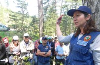 ÇORUH - Artvin Çoruh Üniversitesi Ormancılık Fakültesi Öğrencileri, Dursunbey'de