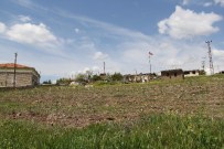 YÜREĞIL - Çanakkale Şehitler Ormanı Hazır