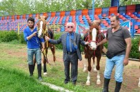 ÖMER ŞENGÖL - Eğirdir AT Yarışlarına Hazırlanıyor