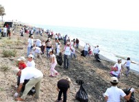 UÇURTMA ŞENLİĞİ - Mersin'de Deniz Kaplumbağalarının Yaşam Alanları Temizlendi