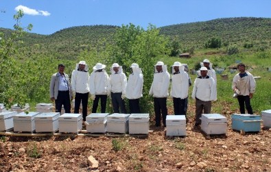 Savur'da Arıcılık Projesi Hayata Geçirildi