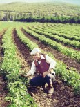 HAVA DURUMU - Turkcell'den Çiftçilere Hediye