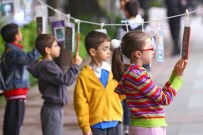 KOCAELİ KİTAP FUARI - 12 İlçede Birden Ağaçlar Kitap Açacak