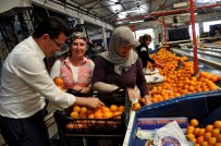 ATAY USLU - AK Parti Adayı Uslu'ya, Doğup Büyüdüğü Mahalleden Tam Destek