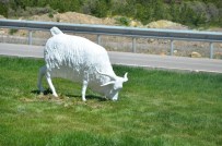 Ayaş'ın Girişine Keçi Ve Domates Figürü Yerleştirildi
