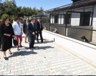 Başkan Uğur Sokak Hayvanları Geçici Bakımevinde İncelemelerde Bulundu
