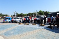 Biga Belediyesine Yeni Araçlar Alındı