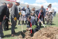 İscehisar'da 300 Fidan Toprakla Buluştu