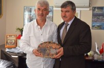 TOPARLAR - Malatyalılar Derneği Başkanı Ateş'den Başkan Ceylan'a Ziyaret