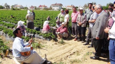 Vekil Adayına Sazlı Sözlü Nasihat