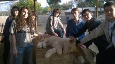 Samsun Final Güney Afrika'da