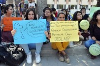 Ege'deki Köpek Katliamı Öğrencileri Ayaklandırdı