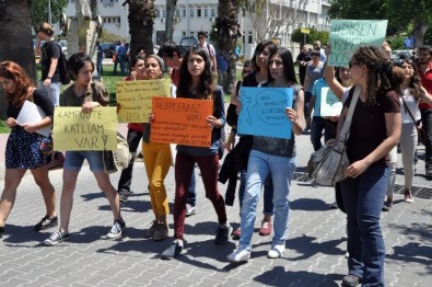 Köpek Katliamı Öğrencileri Ayaklandı