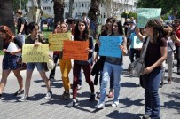 Köpek Katliamı Öğrencileri Ayaklandı