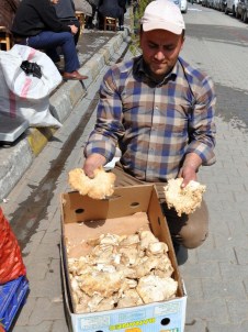 Muş'ta Mantar Satışı