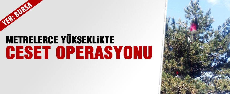 Ormanlık alanda ceset kurtarma operasyonu