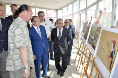 'Türkiye'nin Tüm Kuşları'Fotoğraf Sergisi Açıldı