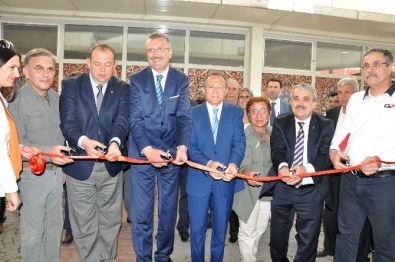 ‘Türkiye'nin Tüm Kuşları'Karacabey'de Sergileniyor