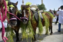YEMEK YARIŞMASI - '1. Geleneksel Ot Ve Tyche Bereket Şenliği'