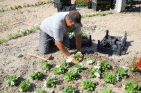 75 Bin Çiçek Buca'ya Renk Kattı
