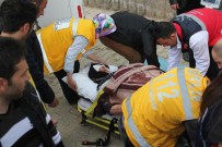 RECEP DAĞ - Ayının Saldırısına Uğrayan Kadın Ağır Yaralandı