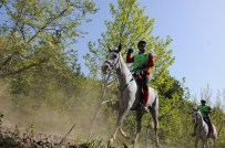 TÜRKIYE BINICILIK FEDERASYONU - Eğirdir'de Atlı Dayanıklılık Yarışı