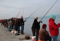 KADİR CAN - Fatsa'da Hobi Balıkçılarının Yüzü Gülüyor