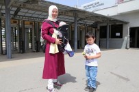 Otomobil Fabrikalarında Eylem Ailece Sürüyor...